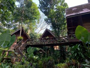 bungalows-in-khao-sok-rainforest