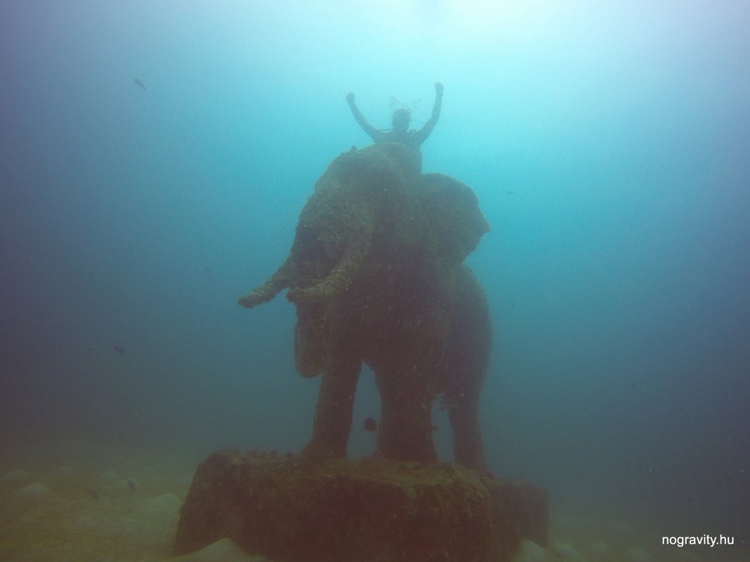 buvar-elefanton-racha-szigetnel